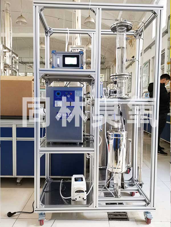 10L单柱臭氧催化实验装置